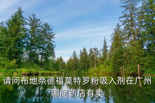 請問布地奈德福莫特羅粉吸入劑在廣州哪間藥店有賣