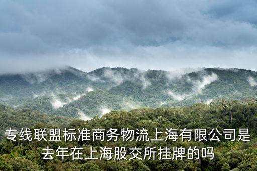 上海市貨代協會王林，專線聯盟標準商務物流上海有限公司是去年在上海股交所掛牌的嗎