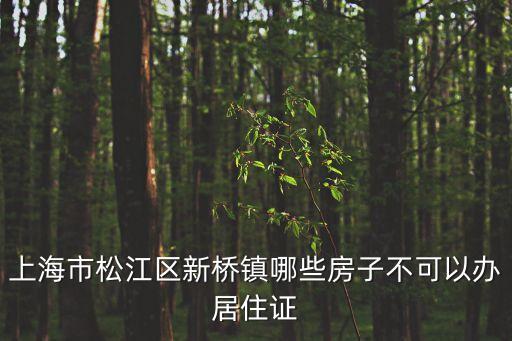 上海市松江新橋產(chǎn)權(quán)房，上海松江區(qū)新橋的申新家園是否有產(chǎn)權(quán)證的