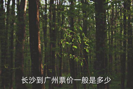 長沙飛廣州價格查詢，長沙到廣州票價一般是多少