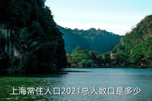 2021年上海市人口規劃，上海2040城市規劃有奧運會嗎
