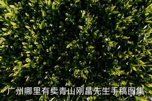 廣州哪里有賣青山剛昌先生手稿圖集