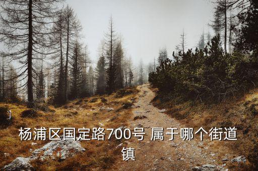上海市楊浦區(qū)國(guó)定路什么街道，楊浦區(qū)國(guó)定路700號(hào) 屬于哪個(gè)街道鎮(zhèn)