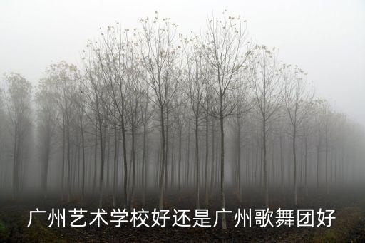 廣州藝術學校好還是廣州歌舞團好