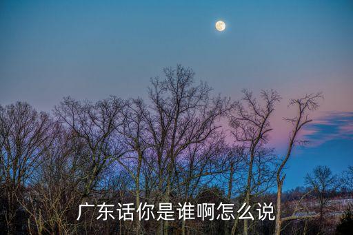 廣東話你是誰啊怎么說