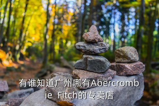 有誰知道廣州哪有Abercrombie  Fitch的專賣店