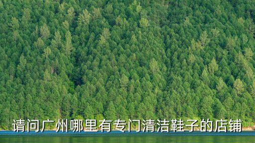 請問廣州哪里有專門清潔鞋子的店鋪