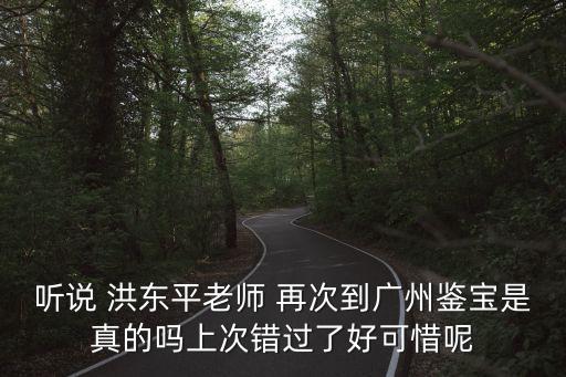 聽說 洪東平老師 再次到廣州鑒寶是真的嗎上次錯過了好可惜呢