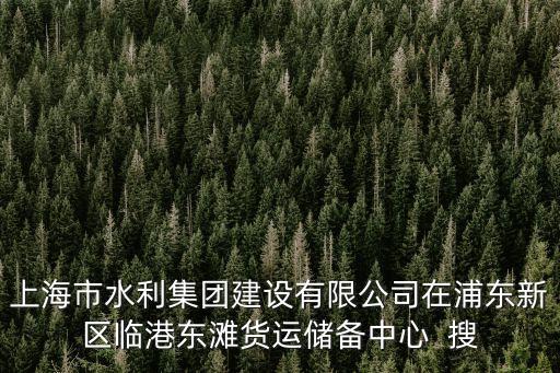 上海市水利集團建設有限公司在浦東新區臨港東灘貨運儲備中心  搜