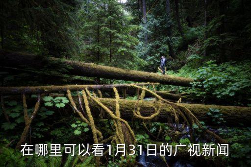廣州31號新聞聯(lián)播，活在廣州同新聞日日睇播出時間