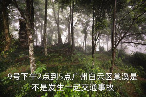9號(hào)下午2點(diǎn)到5點(diǎn)廣州白云區(qū)棠溪是不是發(fā)生一起交通事故