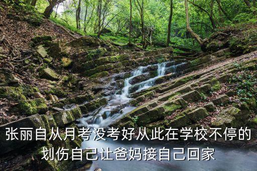 張麗自從月考沒考好從此在學校不停的劃傷自己讓爸媽接自己回家