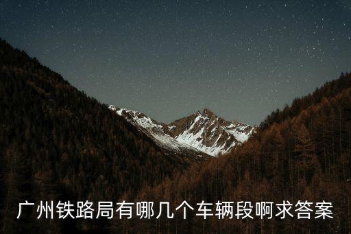 廣州動(dòng)車段有那些，有道廣州的動(dòng)車組嗎