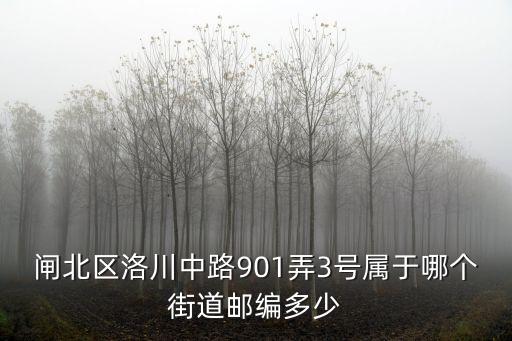 閘北區洛川中路901弄3號屬于哪個街道郵編多少