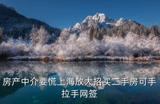 房產(chǎn)中介要慌上海放大招買二手房可手拉手網(wǎng)簽