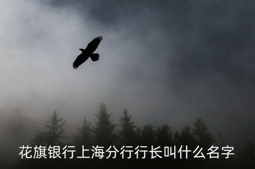 花旗銀行上海分行行長叫什么名字