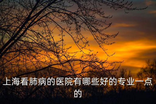 上海看肺病的醫院有哪些好的專業一點的