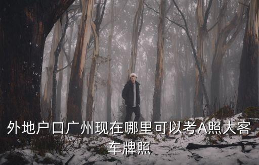 外地戶口廣州現在哪里可以考A照大客車牌照