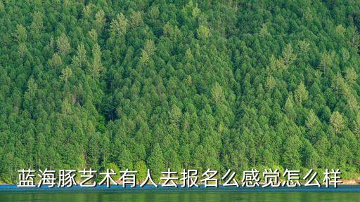 藍(lán)海豚藝術(shù)有人去報(bào)名么感覺(jué)怎么樣
