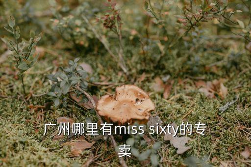 廣州哪里有miss sixty的專賣