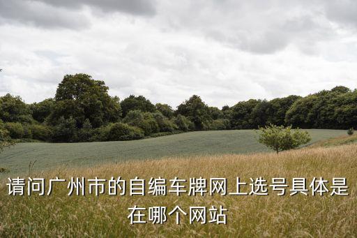 廣州車牌自編咋選，自編自選號牌如何操作
