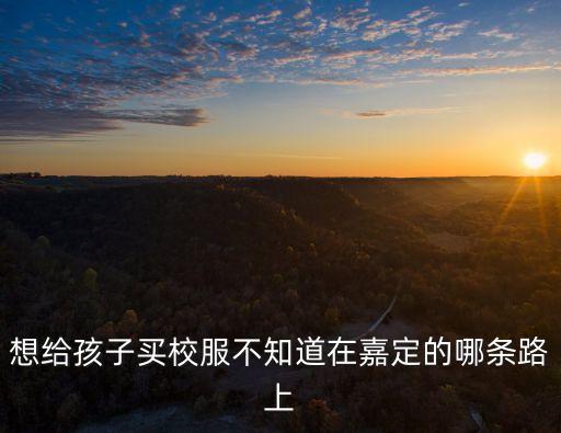 上海市嘉定區華亭鎮小學，上海市嘉定區普通小學一年的學費 急要