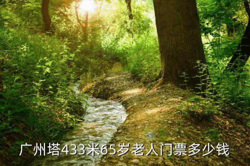 廣州塔433，150塊錢的廣州塔門票433米 可以去433以下的樓層玩