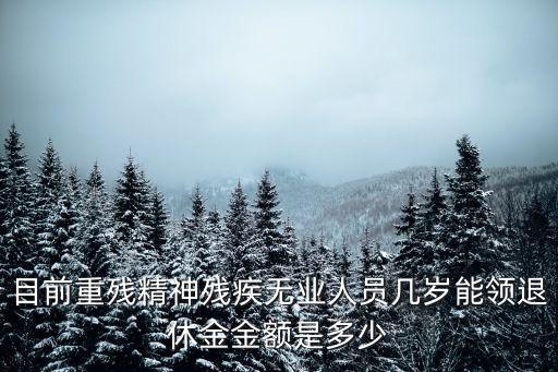 上海市2008年重殘無(wú)業(yè)金額，目前重殘精神殘疾無(wú)業(yè)人員幾歲能領(lǐng)退休金金額是多少