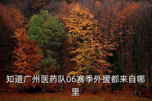 知道廣州醫(yī)藥隊06賽季外援都來自哪里