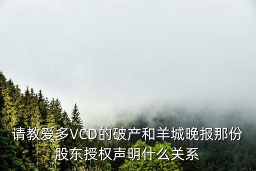 請教愛多VCD的破產(chǎn)和羊城晚報那份股東授權(quán)聲明什么關(guān)系