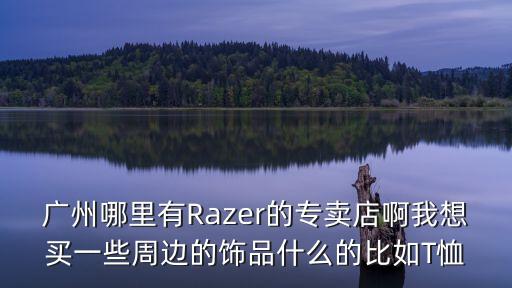 廣州哪里有Razer的專賣店啊我想買一些周邊的飾品什么的比如T恤