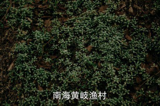 南海黃岐漁村
