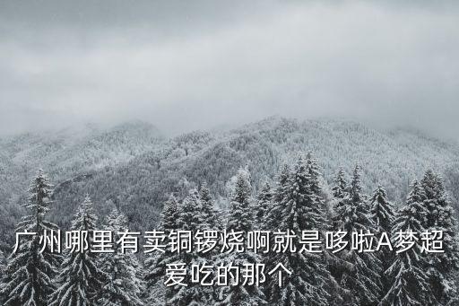 廣州哪里有賣(mài)銅鑼燒啊就是哆啦A夢(mèng)超愛(ài)吃的那個(gè)