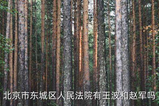 北京市東城區人民法院有王波和趙軍嗎