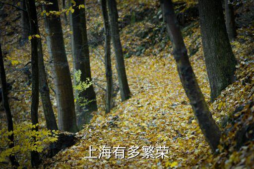 上海市有多厲害，上海城區有多大是世界第幾大都市
