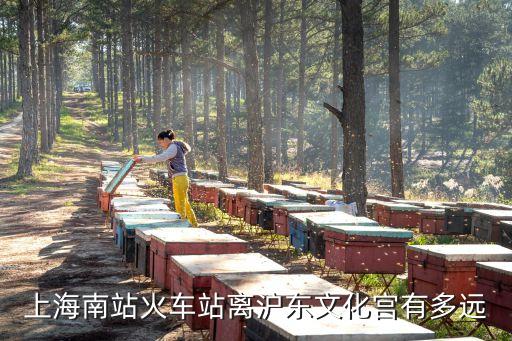 上海南站火車站離滬東文化宮有多遠