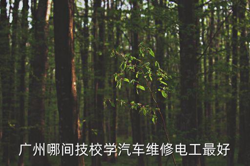廣州哪間技校學汽車維修電工最好
