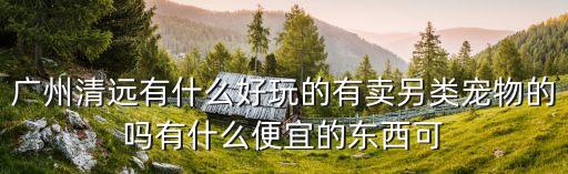 廣州清遠有什么好玩的有賣另類寵物的嗎有什么便宜的東西可