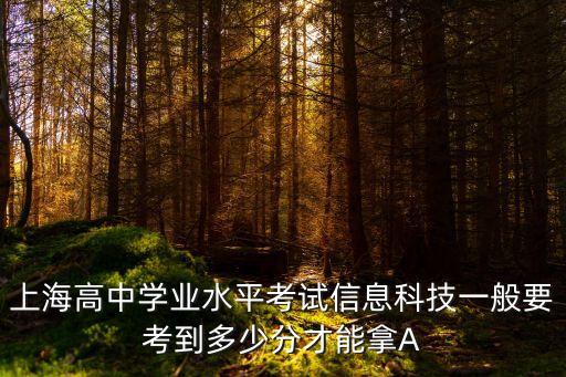 上海高中學業(yè)水平考試信息科技一般要考到多少分才能拿A