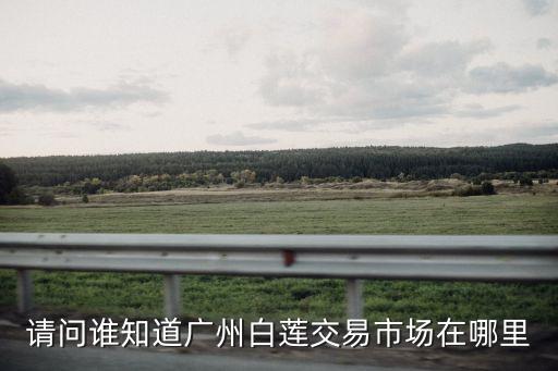 請問誰知道廣州白蓮交易市場在哪里
