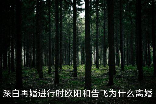 深白再婚進行時歐陽和告飛為什么離婚