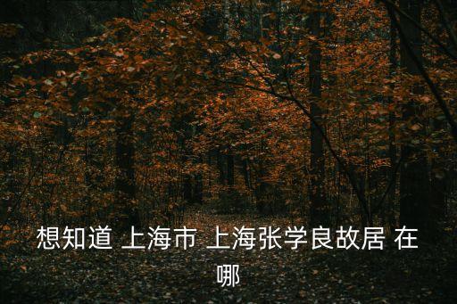 想知道 上海市 上海張學良故居 在哪