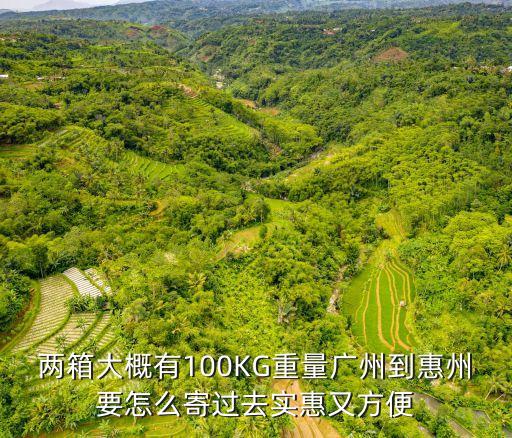 兩箱大概有100KG重量廣州到惠州要怎么寄過去實(shí)惠又方便