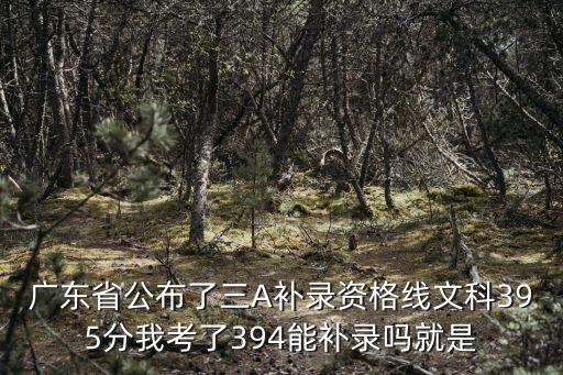 廣州高中補錄安全線，2020年廣東中考中山補錄分AB線嗎