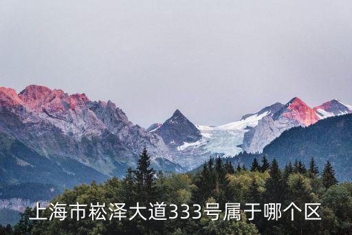 上海市申江路3333號(hào)是哪個(gè)區(qū)，上海市申江路3920是哪個(gè)區(qū)