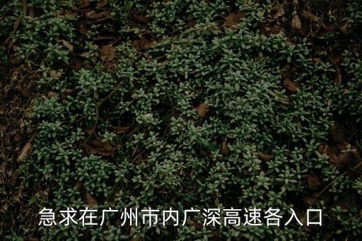 急求在廣州市內(nèi)廣深高速各入口