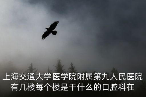 上海市第九人民醫院宿舍樓，上海第九人民醫院地址