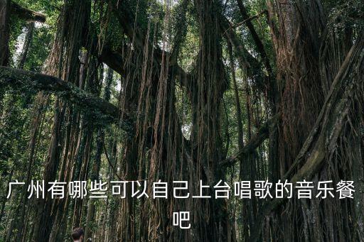 廣州音樂串吧，廣州識嘢音樂啫吧在哪里