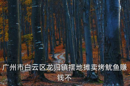 廣州市白云區龍歸鎮擺地攤賣烤魷魚賺錢不