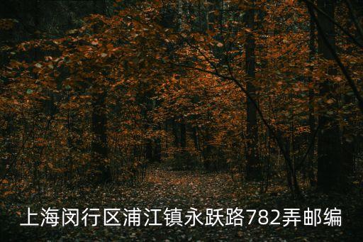 上海閔行區(qū)浦江鎮(zhèn)永躍路782弄郵編
